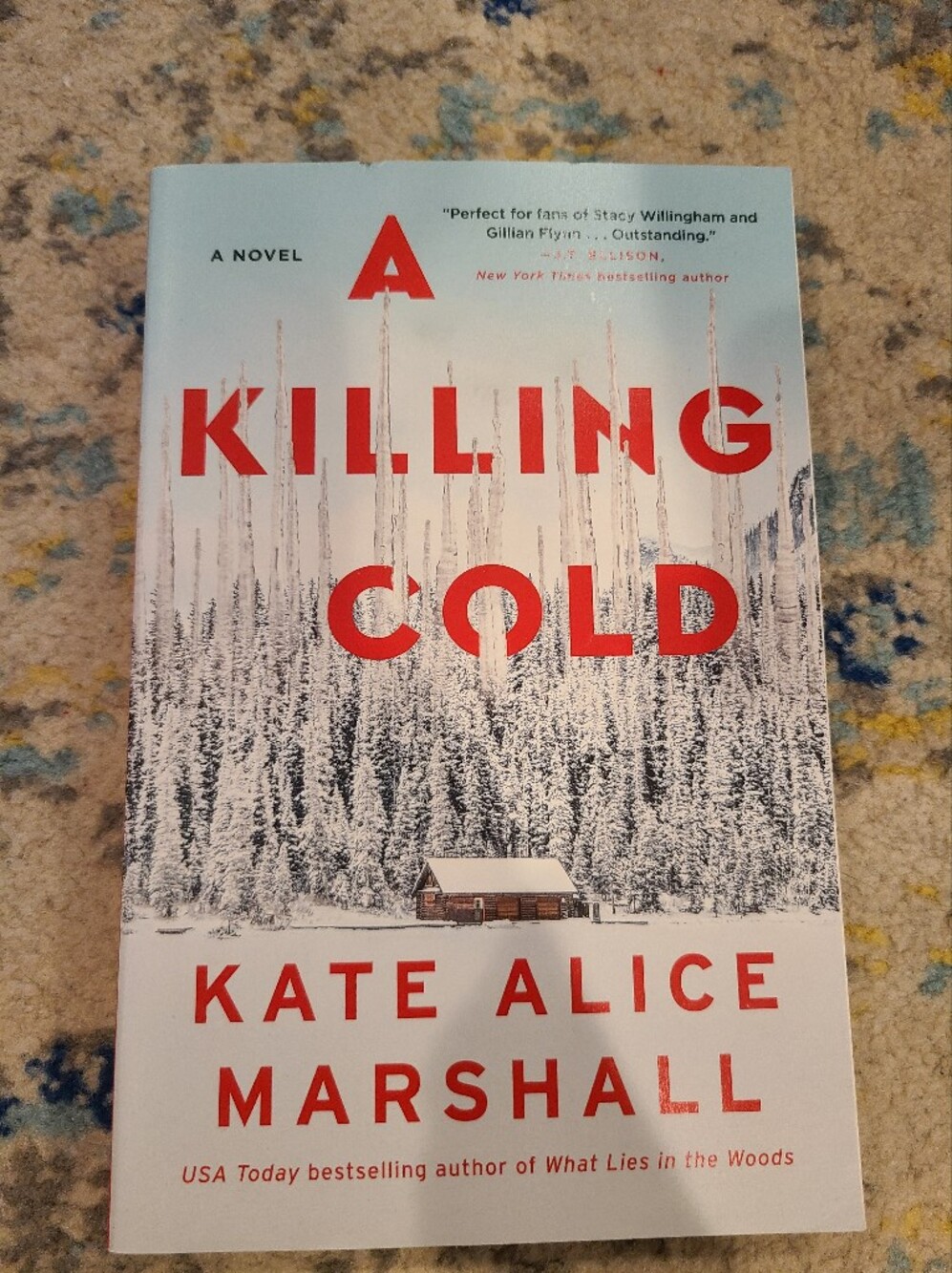 Killing Cold by Kate Alice Marshall Novel - Thriller & Suspense - Booktok